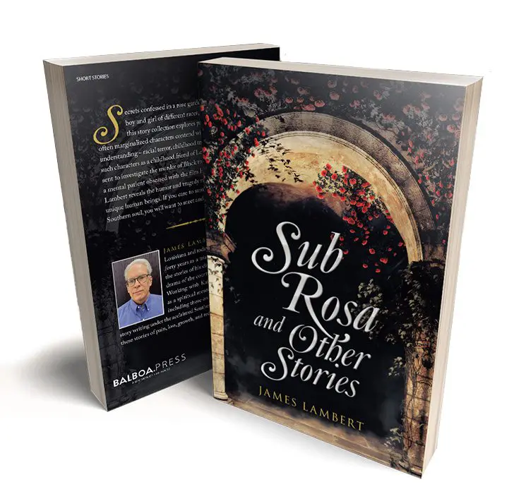 A book cover with an image of a person and the title.